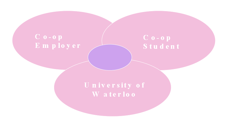 캐나다 코업 산학협동교육모델의 파트너십 구조