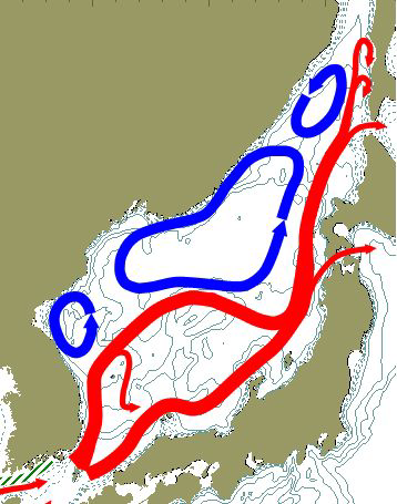 동해의 주요 표층 해류 모식도