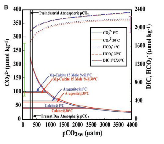 대기 이산화탄소 농도 변화에 따른 aragonite와 calcite 포화도 변화