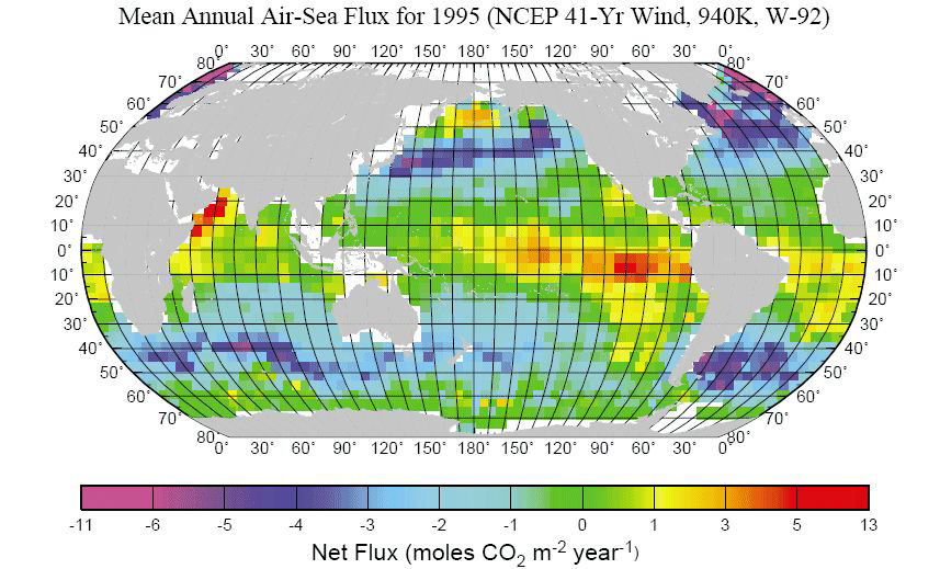 세계 해양의 대기-해양 이산화탄소 교환량 분포