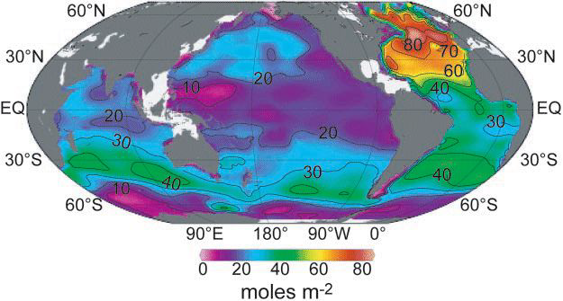 세계 해양에서 anthropogenicCO2의 수층누적량