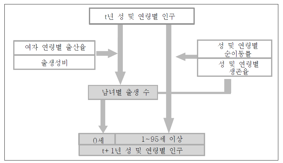 코호트 구성방식에 의한 인구추계 과정