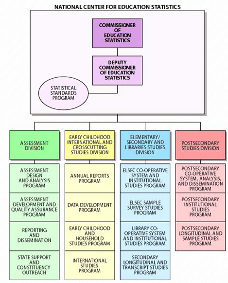 NCES 조직 구성도