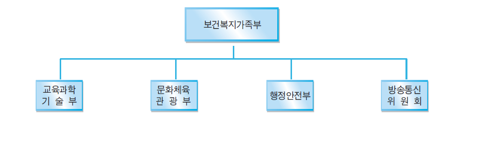 청소년 인터넷 중독 대응정책 협의회 추진체계