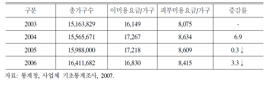 국내 피부미용 시장 현황