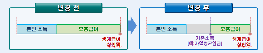 제한적 보충급여