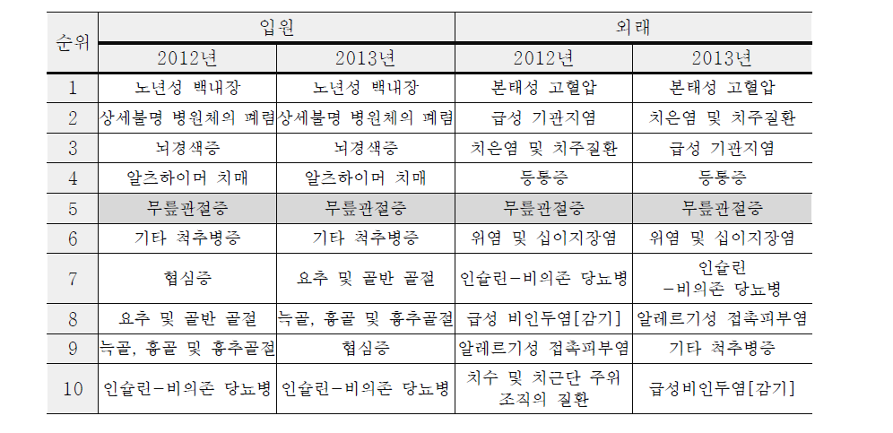 65세이상 노인의 입원/외래 다빈도 상병 순위 요약