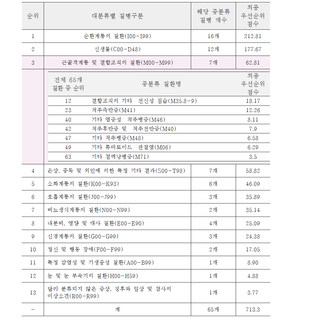 의료급여 개별화 방안의 질환별 우선순위