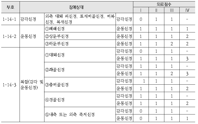 하지 말초신경장애 의료점수 평가기준