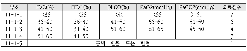 호흡기 의료점수 평가기준