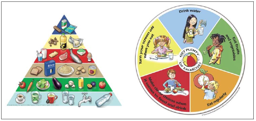 스위스의 식품 피라미드(좌) 및 어린이를 위한 영양디스크(우)
