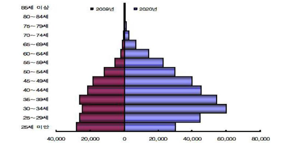 결혼이민자 연령대별 인구구성 변화: 2009-2020