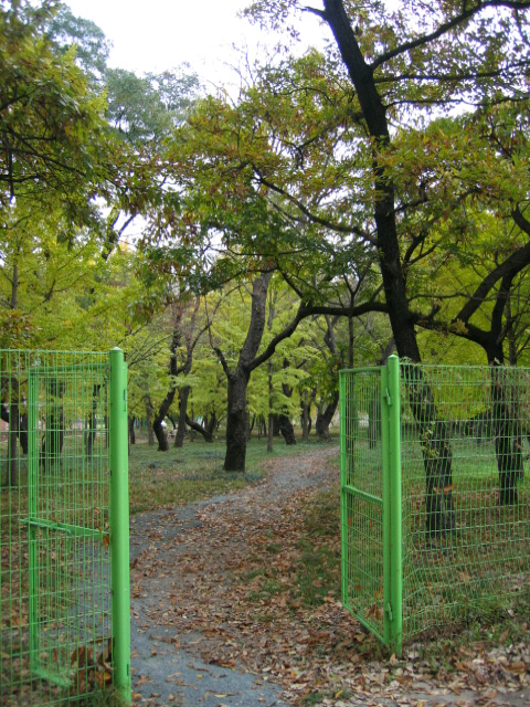 산림유전자원보호림: 경상북도 청도군 이서면 신촌리