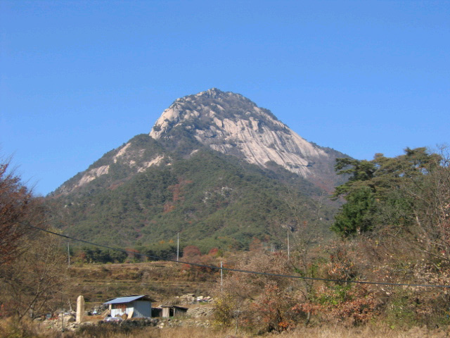 산림유전자원보호림: 경상북도 문경시 가은읍 원북리