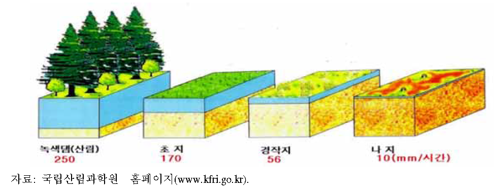 산림의 강수 흡수․저장기능