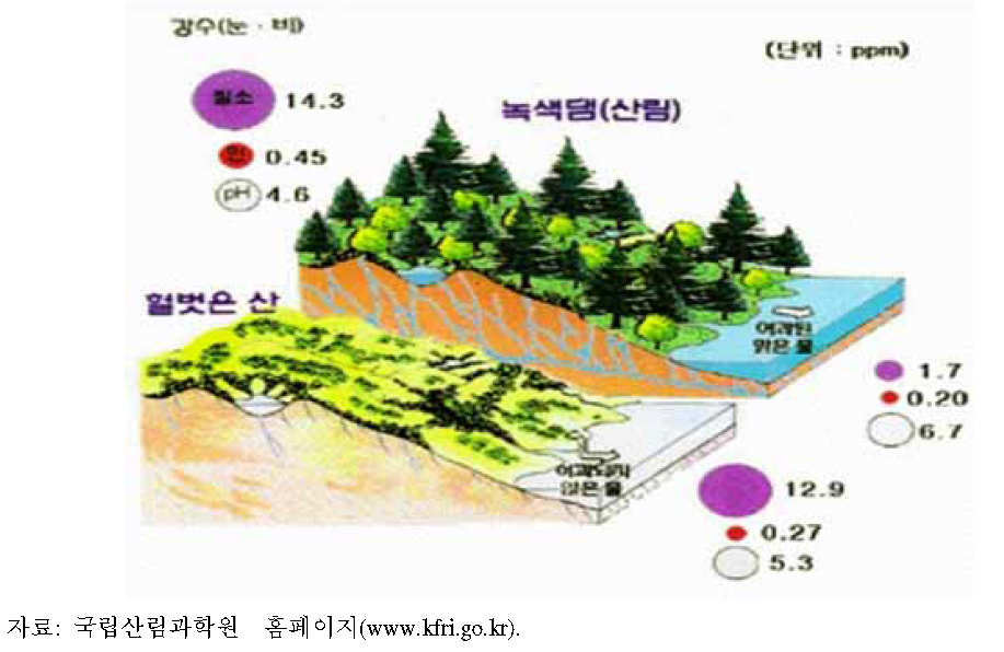 산림토양에 의한 수질 정화