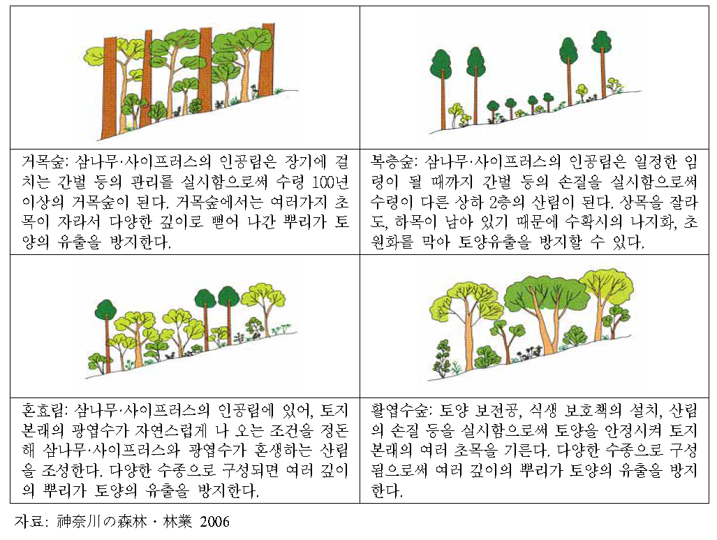 목표산림의 유형