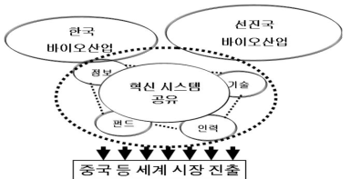 바이오산업 혁신 체제의 글로벌화