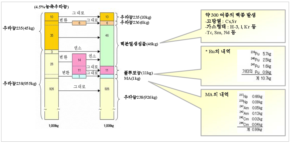 사용후핵연료의 특성