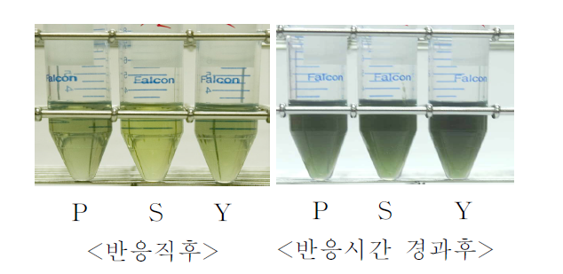 작약의 확인시험결과