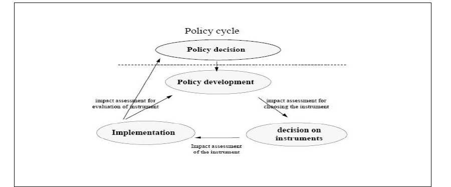 정책과정(policycycle)속에서의 영향평가