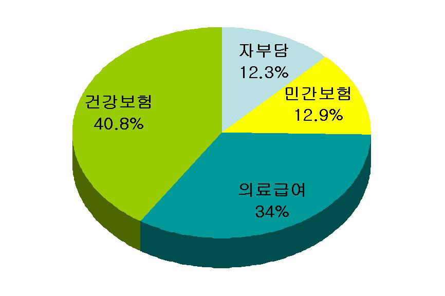 미국 홈헬스케어 비용 부담 주체,2004