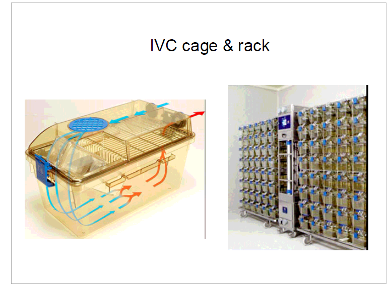 IVC cage & rack의 개요