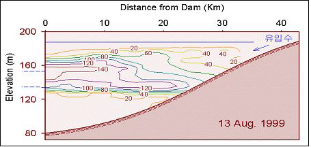 홍수 후 소양호에서 탁도의 수직수평 분포