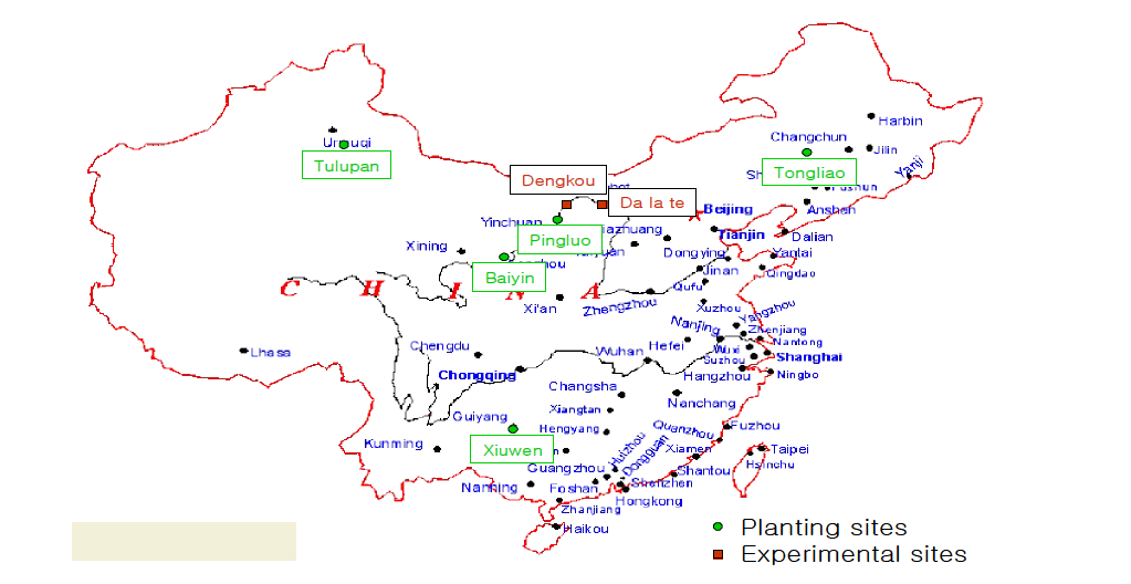 중국 서부조림사업 5개 지역