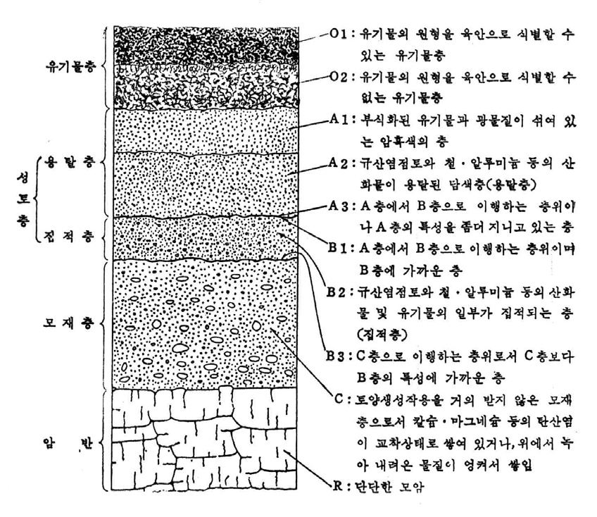 토양 단면 모형도