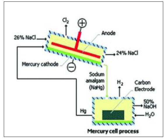 Mercury Cell 전해공정도