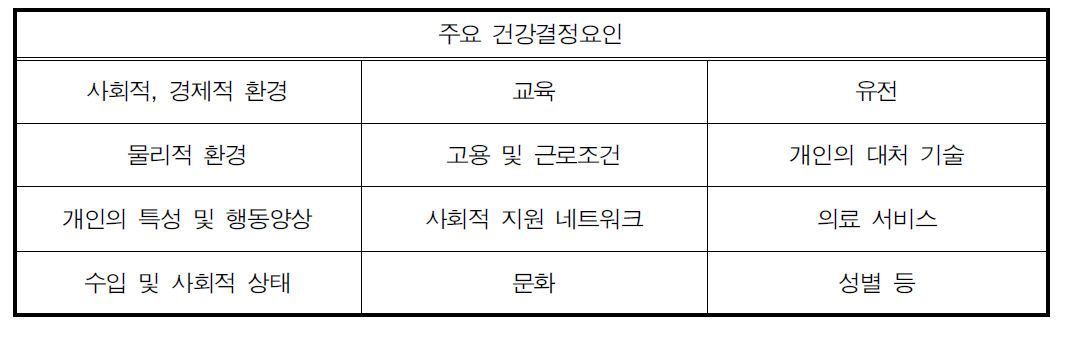 WHO의 주요 건강결정요인