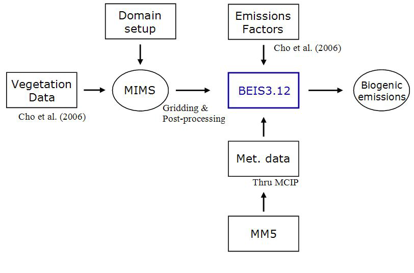 Biogenic emission processing using BEIS 3.12