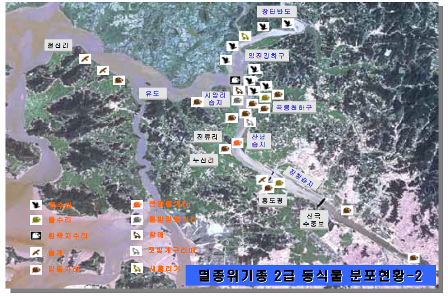 한강하구 멸종위기종 Ⅱ급 조류 분포현황 (2)