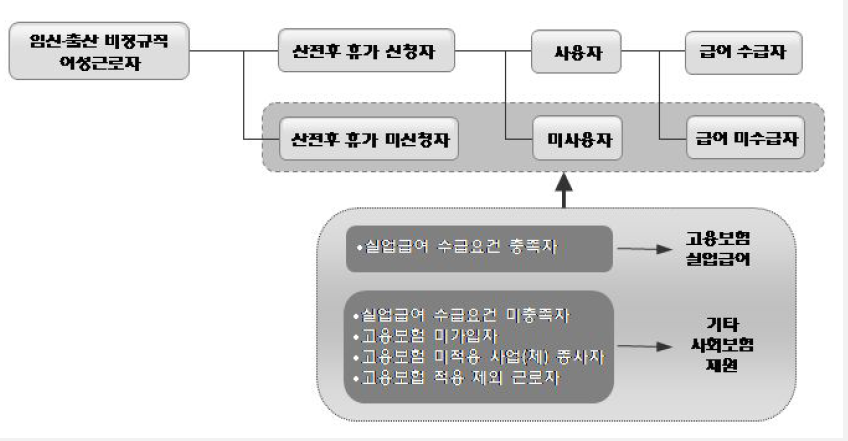 산전후휴가 미사용 및 급여 미수급 비정규직 여성 근로자 소득 보전 방안