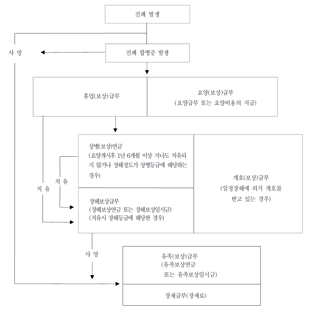 진폐 합병증에 의한 노재보험 급부 유형