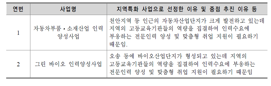 2013년 세종특별자치시 지역특화사업, 중점 추진 사업 사례