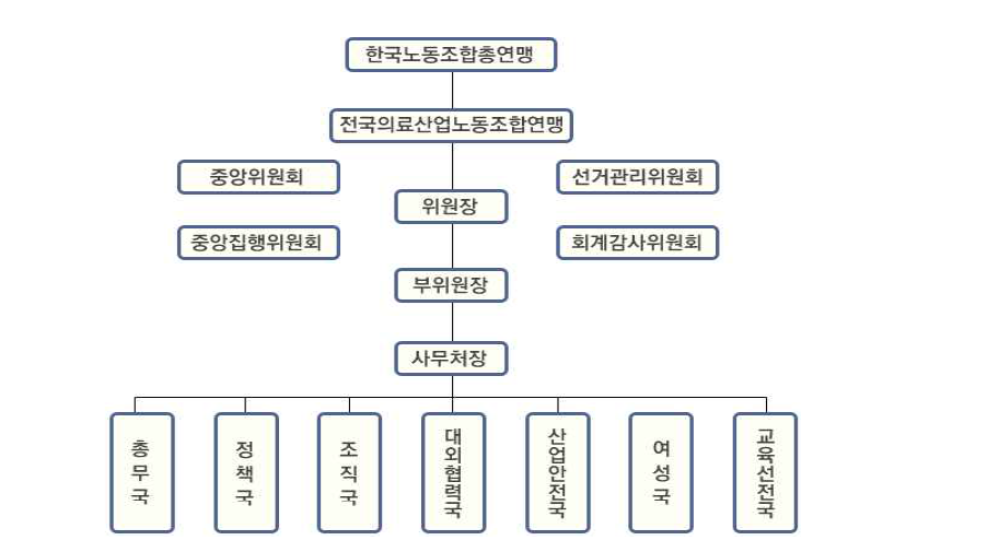 전국의료산업노동조합연맹 조직도