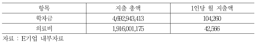 E기업 부가급여 주요 항목 지출현황(2013년)