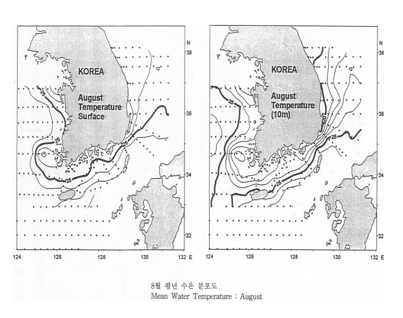 표층과 수심 10m의 8월 평균 수온 분포도 (국립수산과학원 2001).
