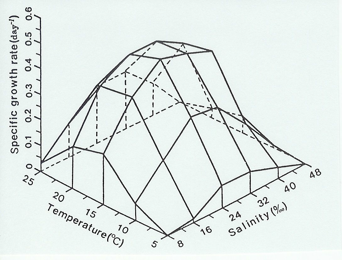 온도와 염분도 변화에 따른 창자파래(Enteromorphaintestinalis)발아체의 생장률 비교(Kim andLee1996).