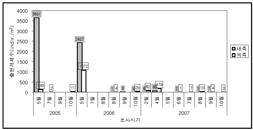 2005-2007년 시화호 방조제 내-외측 해역에서 해파리 유생의 평균 출현 개체수 변화