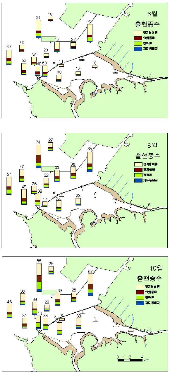 2007년 시화호 내·외해역의 대형저서동물 출현종수 분포