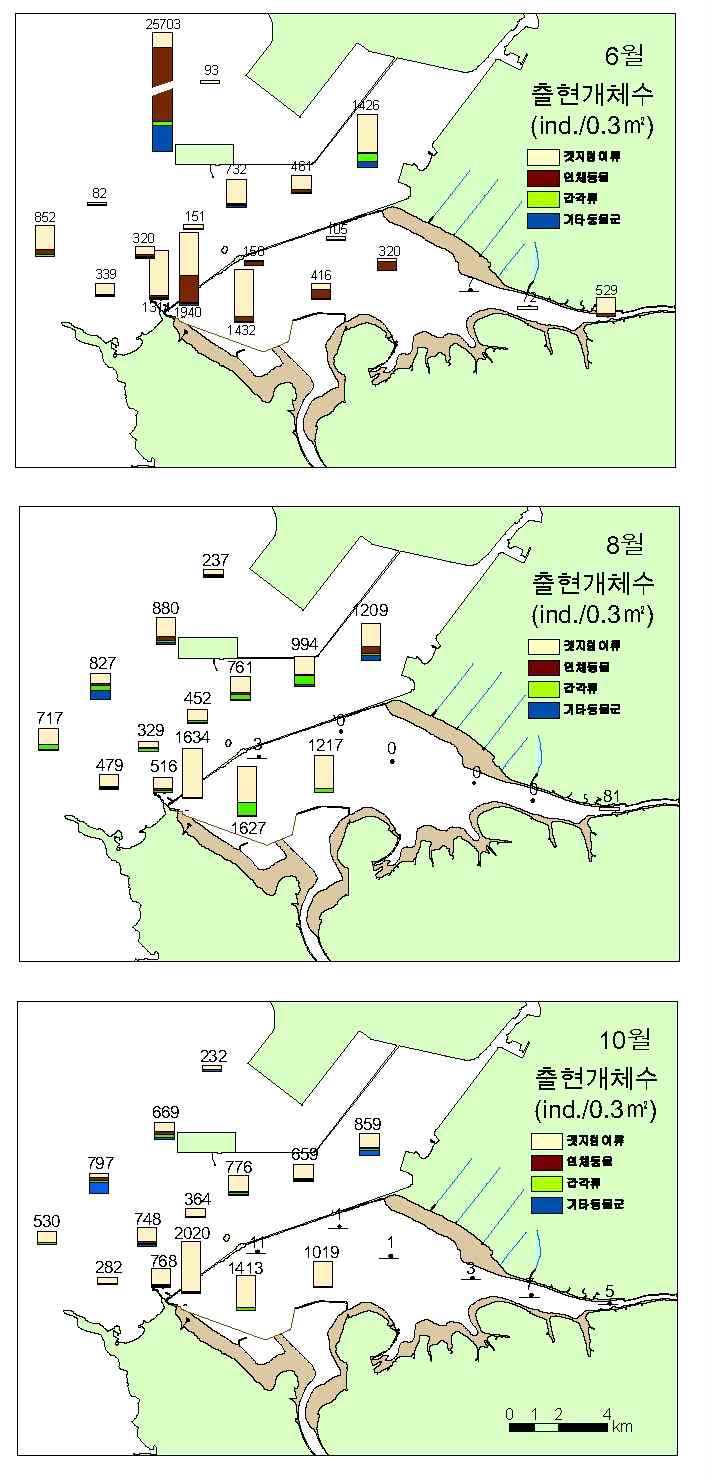 2007년 시화호 내·외해역의 대형저서동물 출현개체수 분포