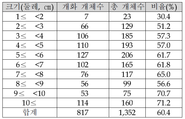 위성류의 크기와 개화율(2007. 6. 17)