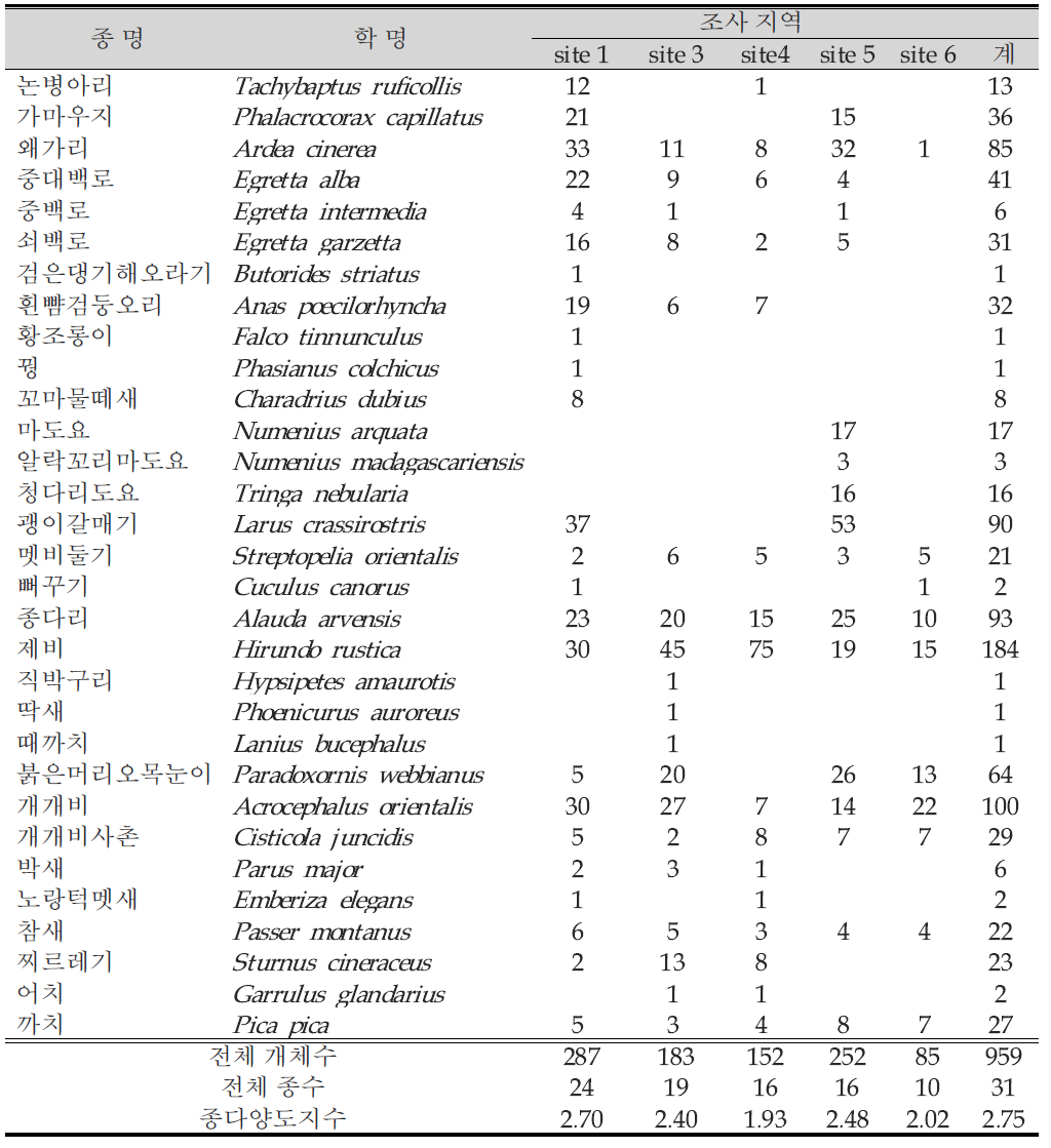 여름철 조류 조사 결과