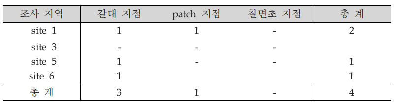 설치류 포획 조사 결과(여름 조사)