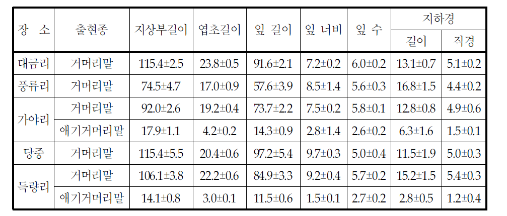 득량만의 잘피 출현종 및 면적(평균 ±표준에러)