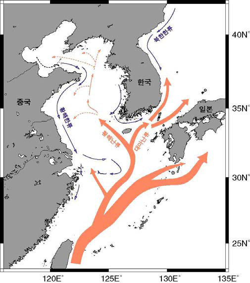 우리나라 주변 해역의 주요 해류 모식도.