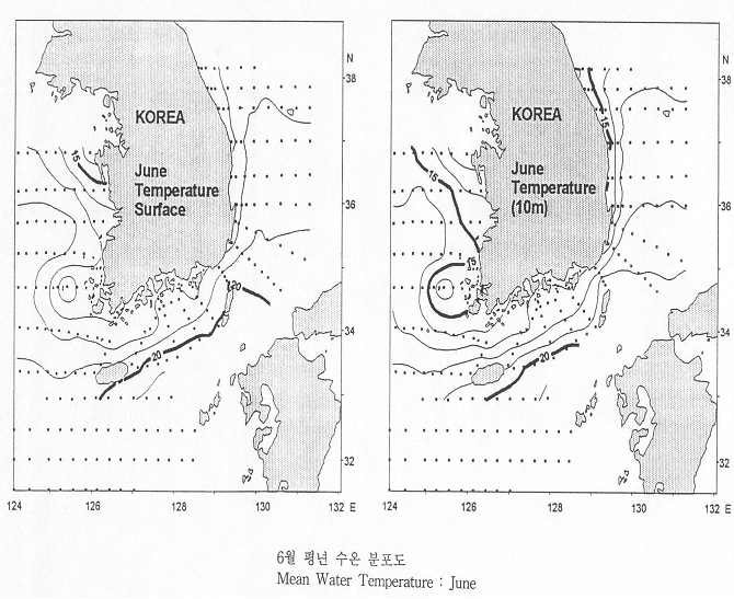 표층과 수심 10 m의 6월 평균 수온 분포도(2001).